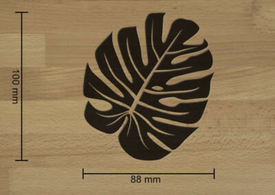 Monstera